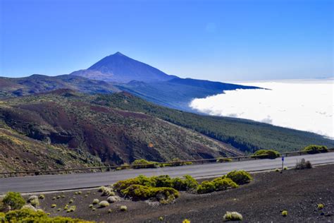 Christmas in Tenerife (2023) Top Tips by a Local!