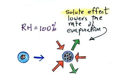 Condensation nuclei and cloud droplet formation