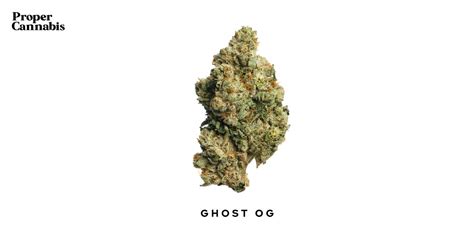 Ghost OG Strain | Proper Cannabis