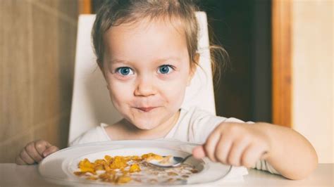 7 healthiest cereals your kid will love | Healthy cereal, Kids nutrition, Cereal