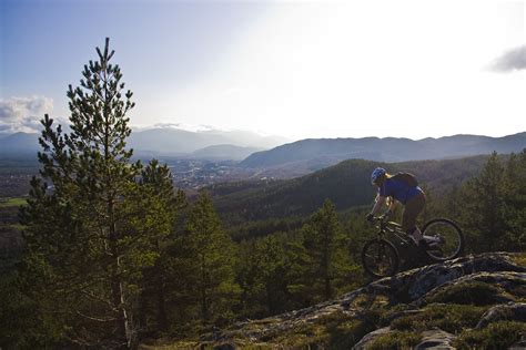 Aviemore - fraserjmcneil - Mountain Biking Pictures - Vital MTB