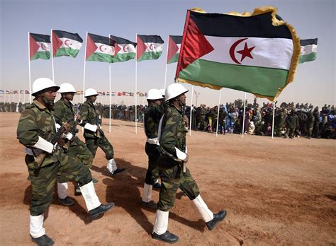 Western Sahara: The Forgotten Conflict at Risk of Re-Escalation - Newsweek