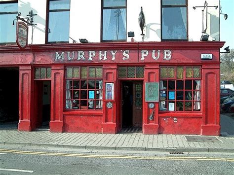 Sip a Beer in Murphy's Pub - Dublin,Ireland | Murphys pub, Beer house, Beer tours