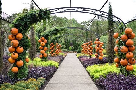 Cheekwood Harvest: A Fall Must-Do in Nashville. Fall-themed gardens, a pumpkin patch with ...