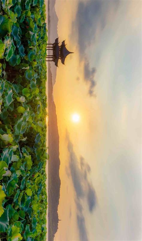 Mountains, Lakes, and Lotus Flowers of West Lake in Hangzhou | West ...