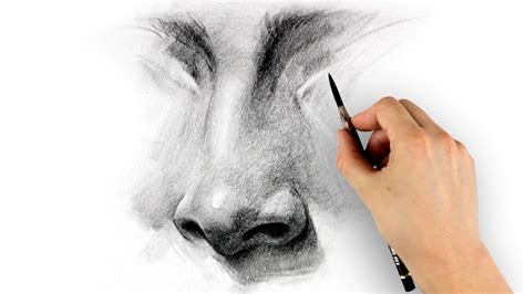 How to draw a nose for beginners with these tutorials that will help you - EroFound