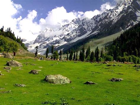 Doodhpathri in Kashmir – Ynorme