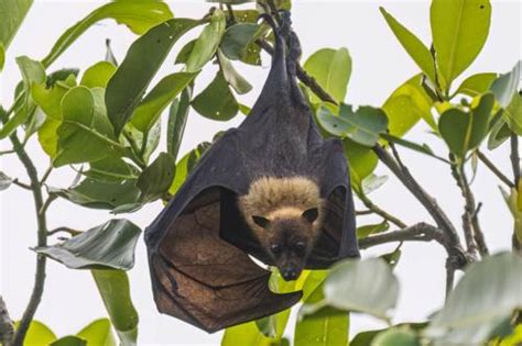 National Park of American Samoa - Top Photography Locations