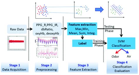 Flow chart of signal processing using the present machine learning... | Download Scientific Diagram