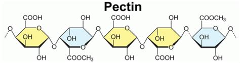 PECTINASE