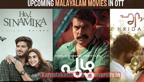 Upcoming Malayalam Movies 2024 List, Release Date, Star Cast, Director, Producer, Budget & More ...