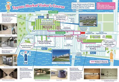 How To Apply To Toyosu Market Tuna Auction Observation Deck Lottery