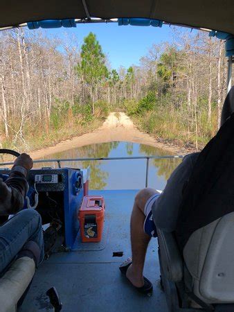 C&G's Big Cypress Swamp Buggy Tours (Chokoloskee) - 2020 All You Need ...