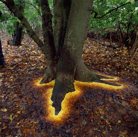 Site-Specific Land Art by Andy Goldsworthy are Ephemeral Earthworks