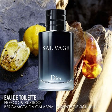 PERFUME CHRISTIAN DIOR SAUVAGE EAU DE TOILETTE MASCULINO - PERFUME ...