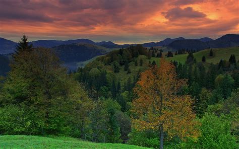 mountains, Hills, Forest, Trees, Sunset, Landscape, Sky Wallpapers HD ...