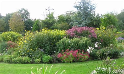 Roger Brook - the no dig gardener: Gardening transformed. Herbaceous ...