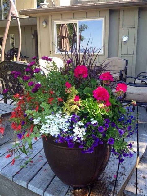 45 beautiful summer container garden flowers ideas - Structhome.com in ...