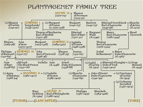 Plantagenet family tree | Genealogy history, Family tree, Royal family trees