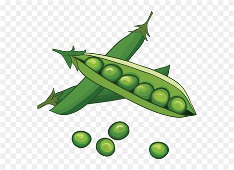 Peas In A Pod Clipart (#3074737) - PinClipart