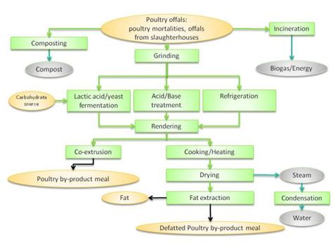 Poultry by-product meal | Feedipedia