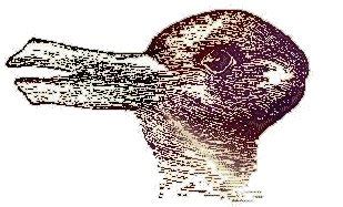 Paul E. Baxter: The Duck-Rabbit Illusion