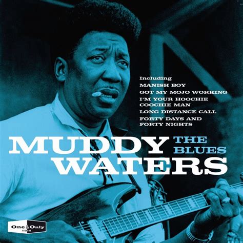 Muddy Waters - The Blues – Orbit Records