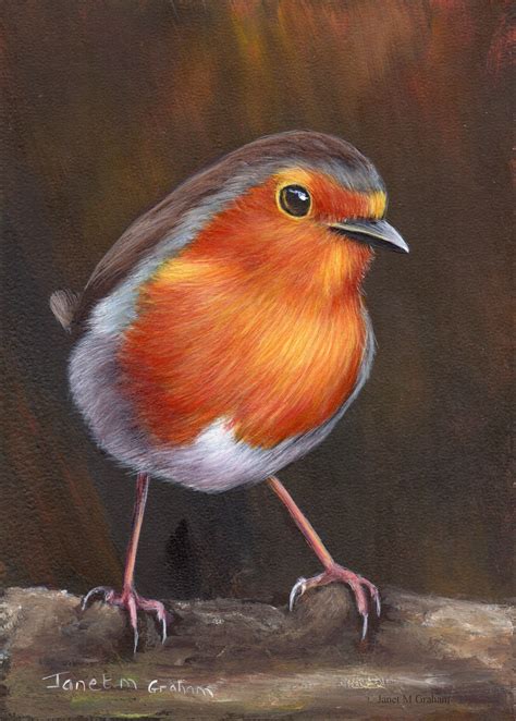 Bird Painting Art Robin SFA Wildlife Painting Original Hand Painted Bird Acrylic Painting ...