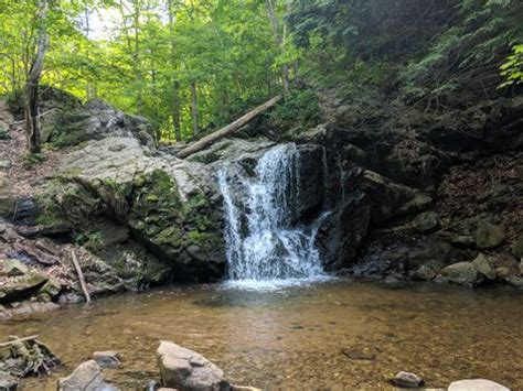 Best 10 Trails in Patapsco Valley State Park | AllTrails