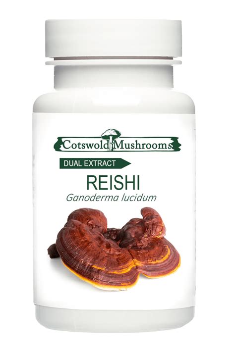 Reishi Mushroom Capsules | Cotswold Mushrooms Ltd