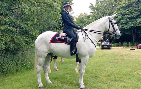 'He has more than earned his retirement': long-serving police horse ...