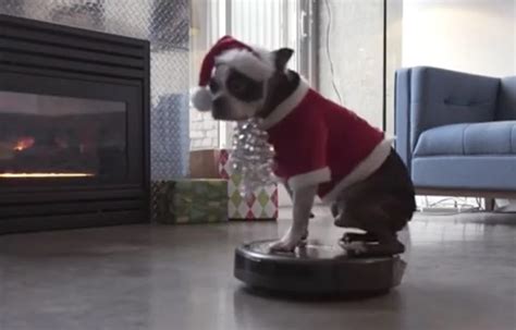 Merry Christmas From Roomba Dog [Video]