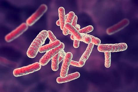 CB2R Activation Ameliorates Pseudomonas Aeruginosa-Induced Lung Injury and Inflammation