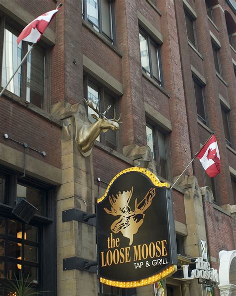 The Loose Moose: Toronto, Ontario. | Beer festival, Beer bar, Dream bars