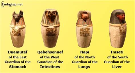 When the Egyptians began the months long process of embalming their dead, part of the ritual was ...