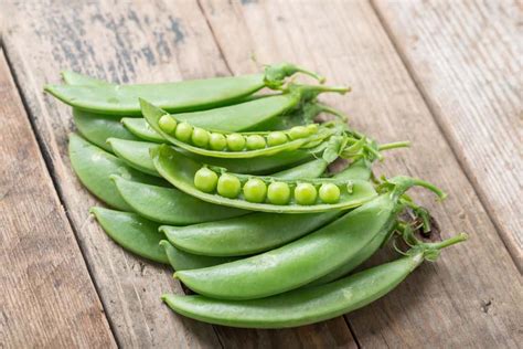 How to Plant Snow Peas in Your Garden (Tricks to Care!)