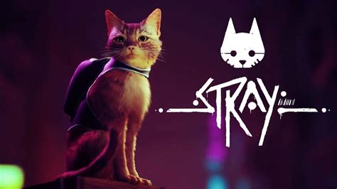 Stray Wallpapers - PlayStation Universe