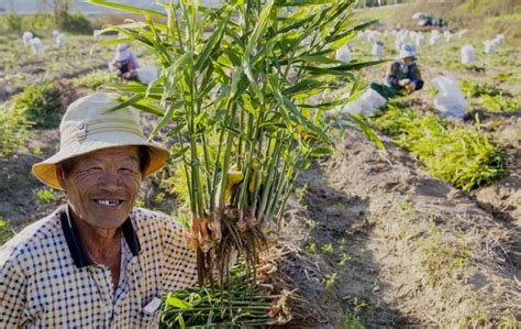 [Voice] Should agriculture be subsidized?