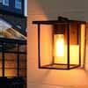 C Cattleya 1-Light 7 in. Black Outdoor Wall Lantern Sconce with Clear Glass CA1907-W - The Home ...