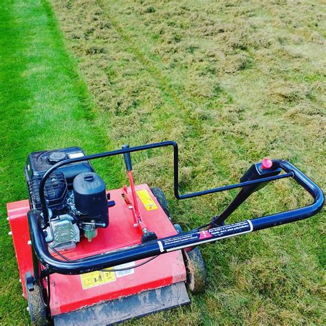 When is the best time to scarify your lawn in the UK? - The Lawn Man