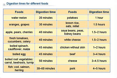 Biology - Lower Secondary - YDP - Chart - Digestion times for different foods