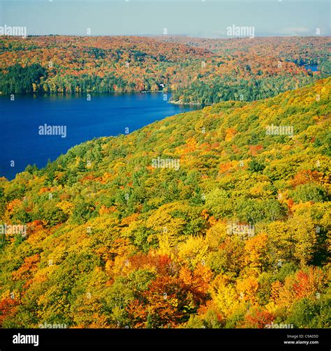 Dorset Ontario High Resolution Stock Photography and Images - Alamy