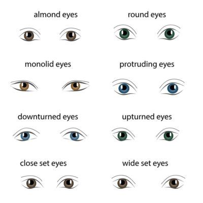 8 Different Types of Eye Shapes – Headcurve