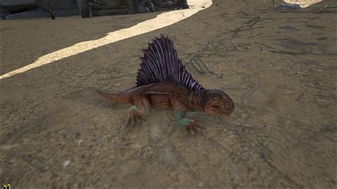 ARK: Dimetrodon - How to Tame, Feed and Breed!