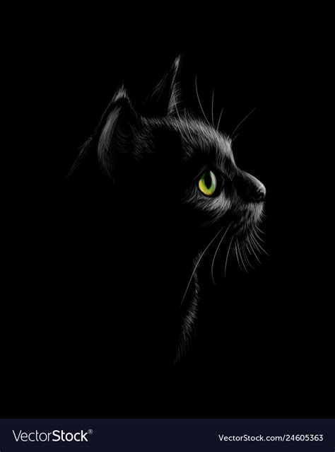 Portrait of a cat on a black background Royalty Free Vector