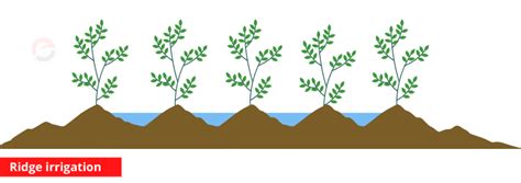 Furrow Irrigation Method - Types, Uses, Advantages and Disadvantages