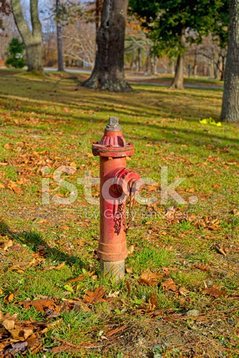 Old Fire Hydrant Stock Photo | Royalty-Free | FreeImages