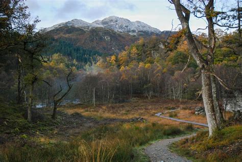 Ben Venue from Loch Achray (Walkhighlands)