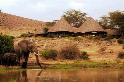 Tortilis Camp - Amboseli Safari Camp (Overview)