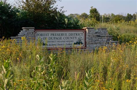 dupage forest preserve - Google Search | Forest preserve, Woodland, Nature scenes